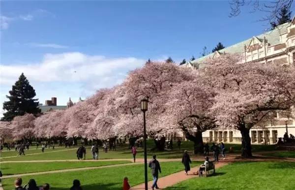 最适合中国留学生去的美国大学