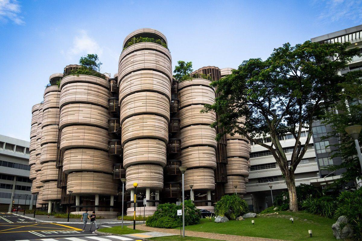 新加坡南洋理工大学新学年本科学费公布